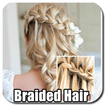 Braided Hairstyles