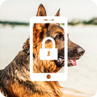 German Shepherd Dog Puppy Sweetheart Lock Screen ikon