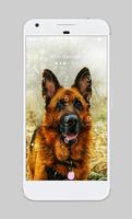 German Shepherd Dog Puppy Sweetheart Lock Screen screenshot 1