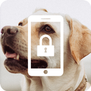 Labrador Dog Cute App Lock APK