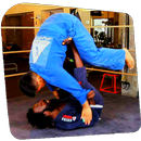 Braziliaans Jiu-jitsu-APK