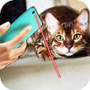 Laser Pointer For Cat Prank APK