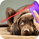 Laser Pointer For Dog Prank APK