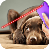 ”Laser Pointer For Dog Prank