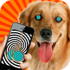 Hypnosis For Dogs Simulator APK
