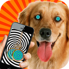 Hypnosis For Dogs Simulator icône