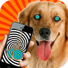 Hypnosis For Dogs Simulator आइकन