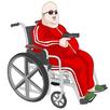APK Wheel Chair Z