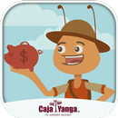 YangAventuras aplikacja