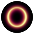 Portal Island