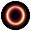 Portal Island