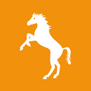 Cavallino APK