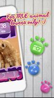 Cute Animals Wallpapers screenshot 1