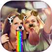 Cara del perro – foto editor