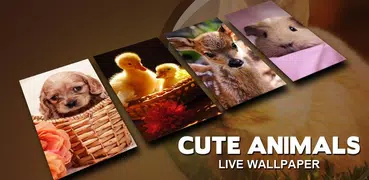 Cute Animals Live Wallpaper