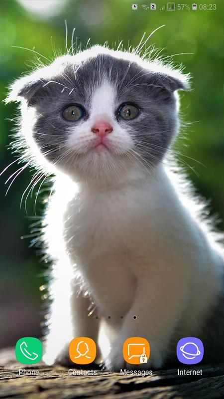 Cute Animals Wallpaper For Android Apk Download