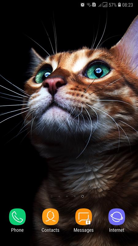 Cute Animals Wallpaper For Android Apk Download