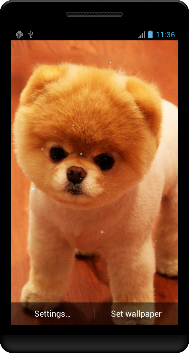 Cute Baby Animals Wallpaper APK for Android – Download Cute Baby Animals Wallpaper APK Latest Version from Cute Baby Animals Wallpaper APK for Android – Download Cute Baby Animals Wallpaper APK Latest Version from