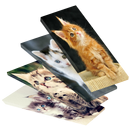 Cute Cat HD Wallpaper 4K APK
