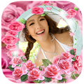 กรอบรูปดอกกุหลาบสีชมพู กรอบรูปดอกไม้สวยๆใหม่ๆ ฟรีๆ