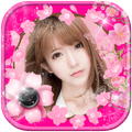 กรอบรูปซากุระ เฟรมดอกไม้ กรอบรูปใหม่ๆสวยๆ เฟรมสวยๆ