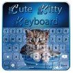 Clavier mignon de minou