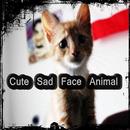 Cute Sad Face Animal aplikacja