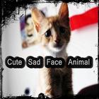 Cute Sad Face Animal आइकन