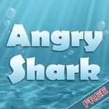 Shark Angry