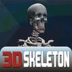 3D Skeleton FineTouch - Lite