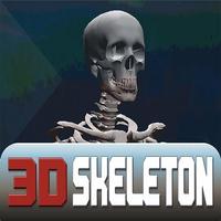 3D Skeleton FineTouch - Lite Affiche