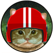 CosmiCat icon