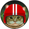 CosmiCat