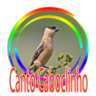 Cantos de Caboclinho - Canto dó-ré-mi আইকন