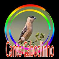 Cantos de Caboclinho - Canto dó-ré-mi Affiche