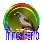 TODOS DE CANTO TRINCA FERRO ícone