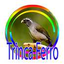 TODOS DE CANTO TRINCA FERRO APK