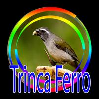 TODOS DE CANTO TRINCA FERRO Cartaz
