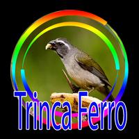 TODOS DE CANTO TRINCA FERRO poster