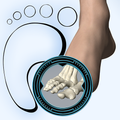 Podiatry 3D (Free)