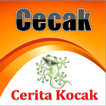 Cerita Kocak