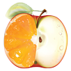 Check GMO aplikacja