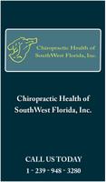 Chiropractic Health App Poster