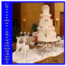 APK CHRISTMAS CAKE