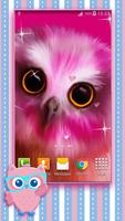 Cute Owl Live Wallpaper poster
