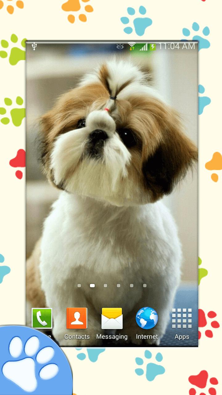 Wallpaper Anjing Lucu For Android APK Download