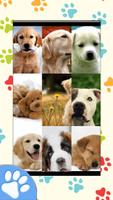 برنامه‌نما Dog Wallpapers عکس از صفحه