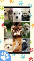 برنامه‌نما Dog Wallpapers عکس از صفحه