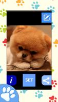 Dog Wallpapers captura de pantalla 3