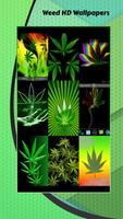 Weed HD Wallpapers screenshot 2